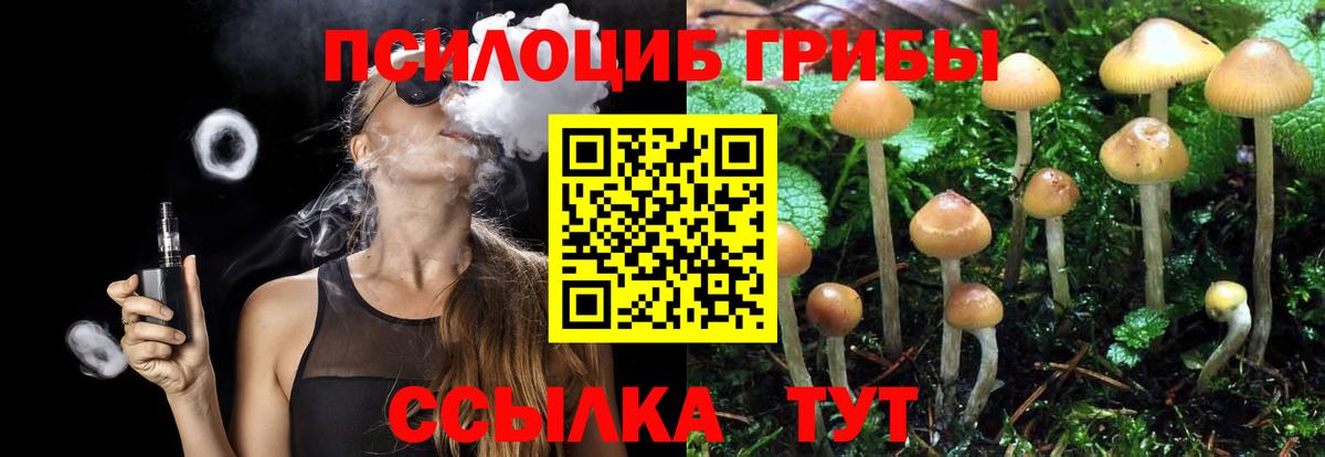Керчь  Псилоцибиновые грибы MAGIC MUSHROOMS  Вход с VPN 